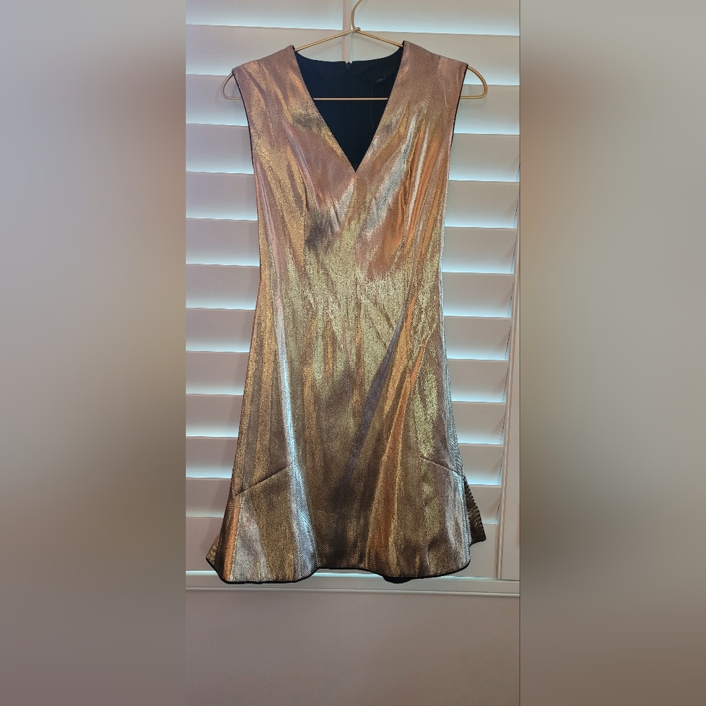 Louis Vuitton Skater Dress size 34